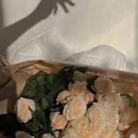 美术生走在淡淡金色的黄昏