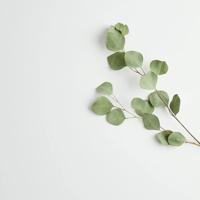 美文赏析：你是人间的四月天