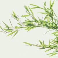 爱到情浓时,情调自然来