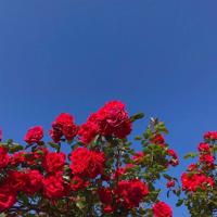 幸福阶梯沾满您最初的温暖