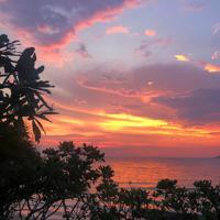 如果一个人在孤独中度过一生