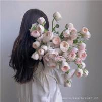 家才是温馨的港湾