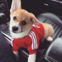 《春天的故事》曲作者 来深讲述创作故事