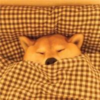 年味里的那抹记忆