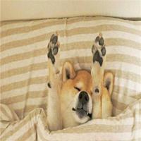 牵念幸福,知遇温暖