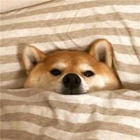 关于经典散文日记汇总7篇