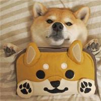 一转身已万水千山