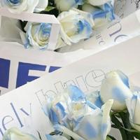 遗忘所有的痛楚和期待,等待尘埃落定。