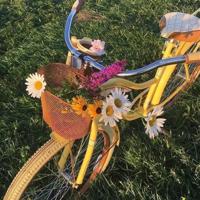 人生如梦岁月如歌