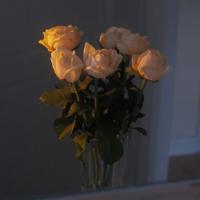 小清新美女爱情物语图片_青春甜蜜的忧伤