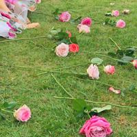 关于壹周立波秀的最新经典语录