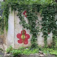 一花一曲一空事