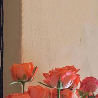 夜半鬼话之复仇