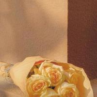 听闻余生终不再见的爱情经典语录伤感说说大全