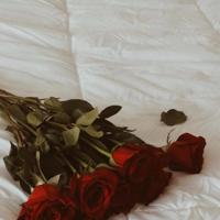 励志语录,每日必看的励志经典语句