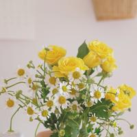 关于蔡康永的语录欣赏