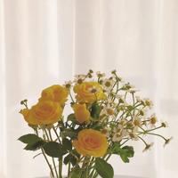 爱如蚕丝 情如烟