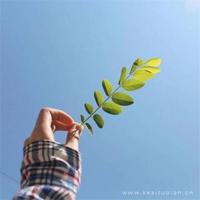 爱情的发票找谁报销