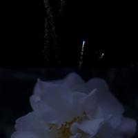 女人掌控好自己的情绪,才能真正拥有自己的生活