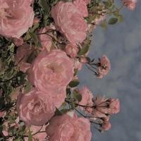 简单幽默的晚安朋友圈句子|幽默短句