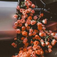 此去盛季，染指经年