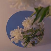 感恩父母好句子摘抄