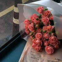 312植树节祝福语微信贴心问候说说大全