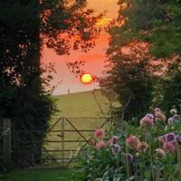 沉淀生命,沉淀经验,沉淀心情,沉淀自己