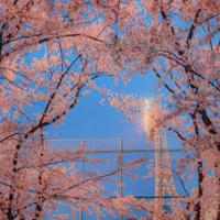 励志名人名言名句摘抄