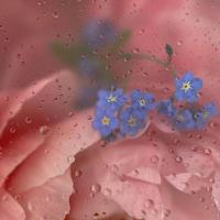 两个笑话故事乘公交车和吃面