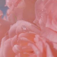 女人口述:一时着魔和陌生人出轨