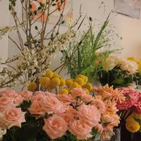 家乡的诗（组诗）