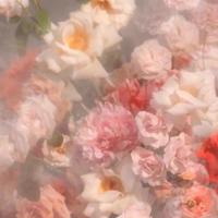 周立波经典语录 这就过了,过了就错了,这就叫过错