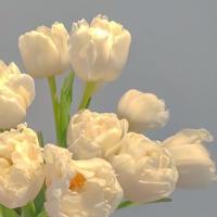 心不够强大，走哪里都是悲伤