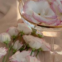 生命是趟单程旅途，走过了就不可能再回头。惆怅的句子