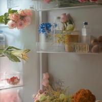 生活。艺术。哲理。