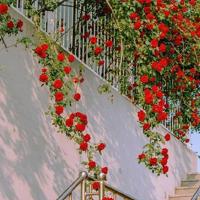 我终于明白：曲终人散的寂寞