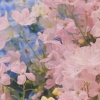 有这4大迹象说明婚姻不幸福了