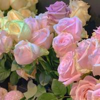 青春励志的句子致自己简短