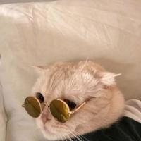 讲鬼故事之老太太