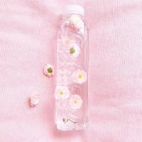 坐在槐树上的阿生