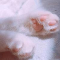 有一种离去，悄无声息