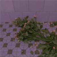 他来过一阵子,她怀念一辈子(图文)