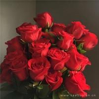 您没有访问权限