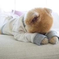 成功者的经典励志名言短句