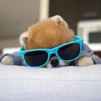 甜言蜜语的句子