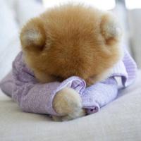 记住自己说过的话