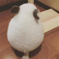 情诗三首（组诗）