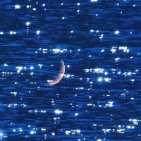 爱情来时，雪花盛开