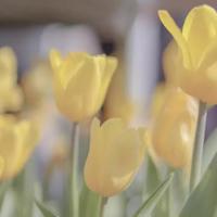 他有他的使命,可谁来还我容止?